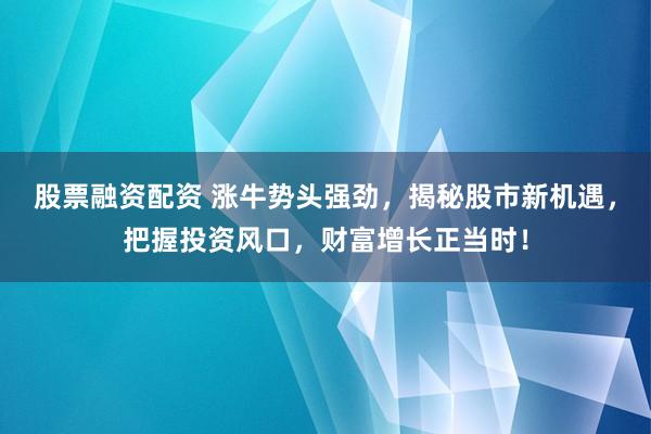 股票融资配资 涨牛势头强劲，揭秘股市新机遇，把握投资风口，财富增长正当时！