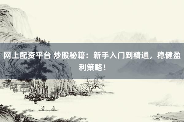 网上配资平台 炒股秘籍：新手入门到精通，稳健盈利策略！