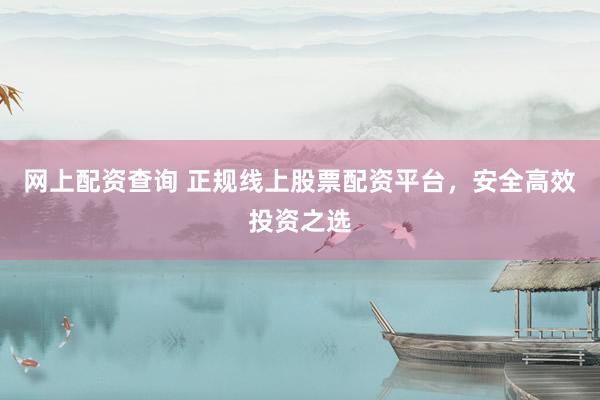 网上配资查询 正规线上股票配资平台，安全高效投资之选
