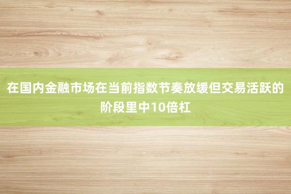在国内金融市场在当前指数节奏放缓但交易活跃的阶段里中10倍杠