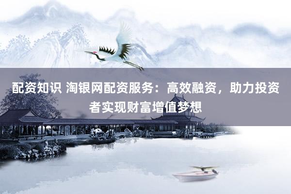 配资知识 淘银网配资服务：高效融资，助力投资者实现财富增值梦想