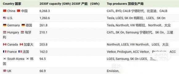 世界最大锂离子电池生产国_中国 2030